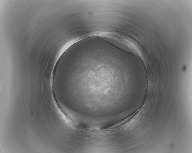 X0000094191050200711021023