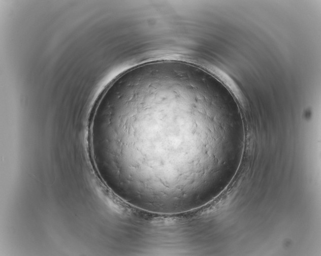 X0000094191051200711021023