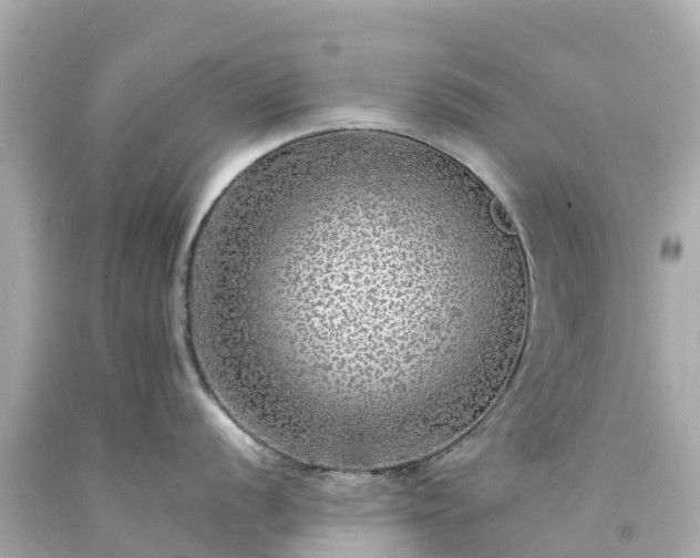 X0000094191056200711021023