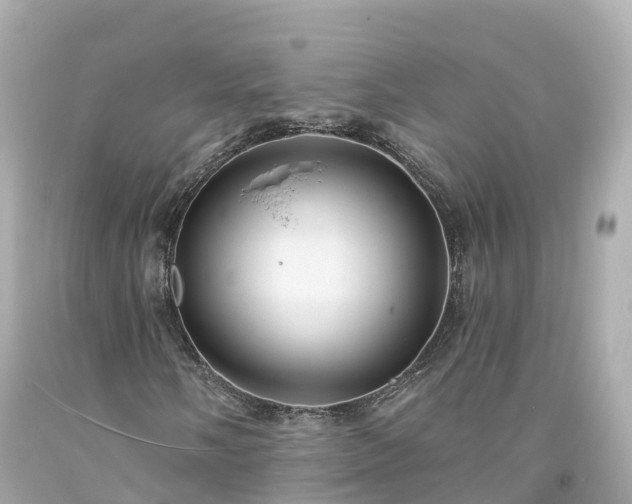 X0000094191058200711021023