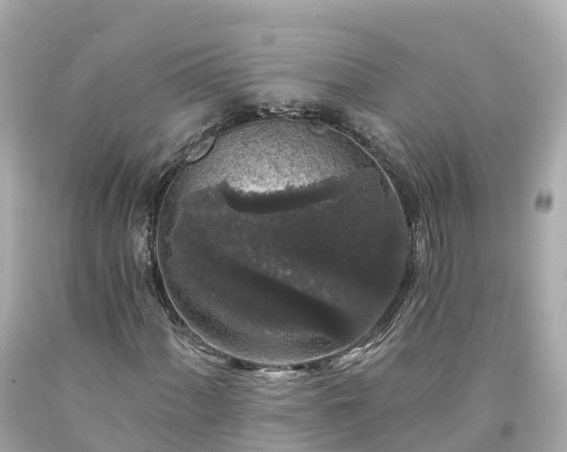 X0000094191060200711021023