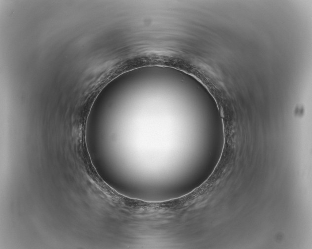X0000094191061200711021023