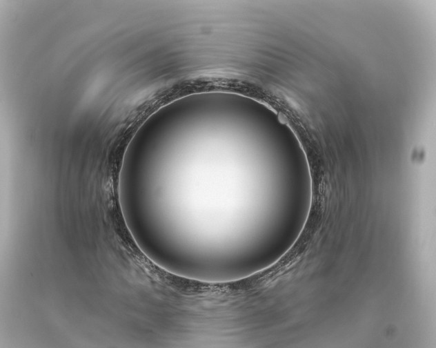 X0000094191062200711021023