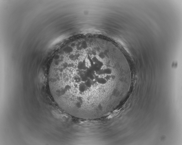 X0000094191063200711021023