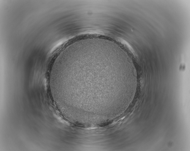 X0000094191064200711021023
