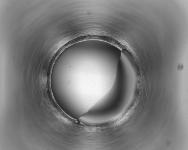 X0000094191065200711021023