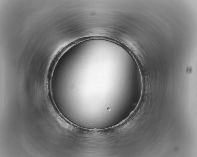 X0000094191072200711021023