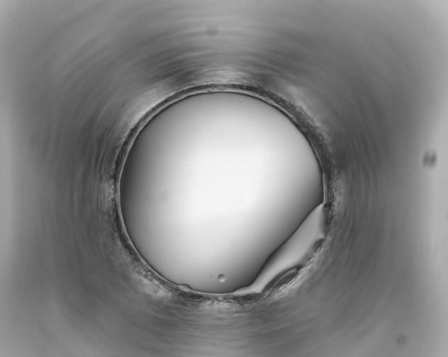 X0000094191073200711021023
