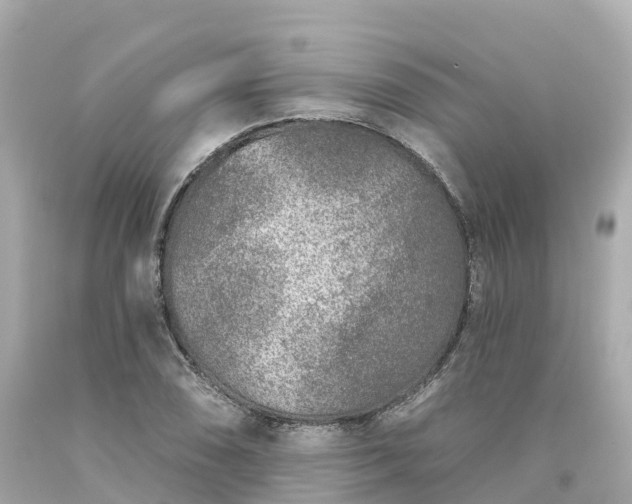 X0000094191074200711021023