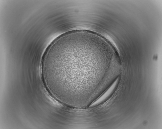 X0000094191076200711021023