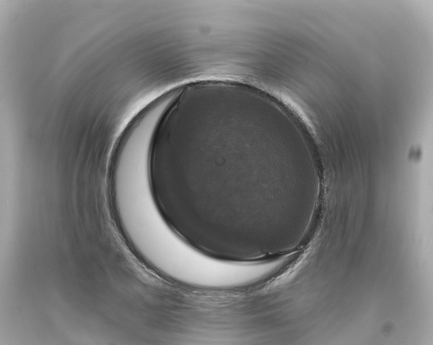X0000094191077200711021022