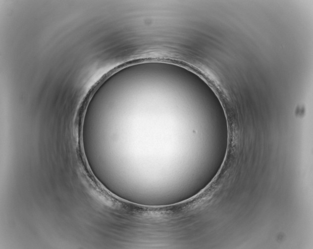 X0000094191078200711021022
