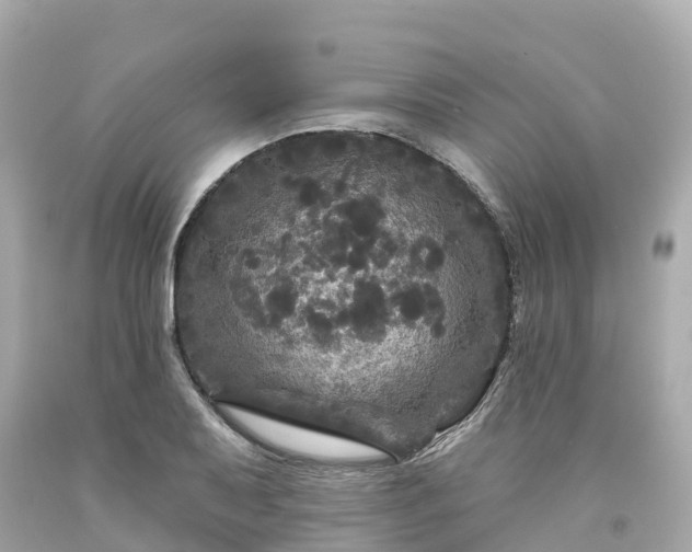 X0000094191079200711021022