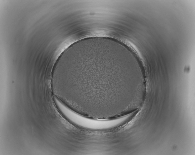 X0000094191081200711021022