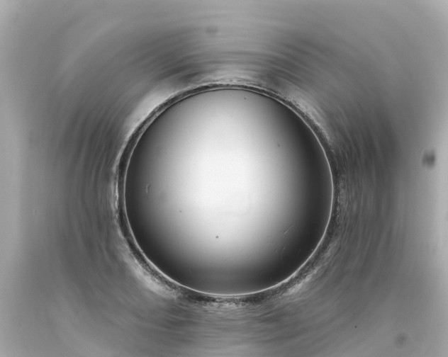 X0000094191082200711021022
