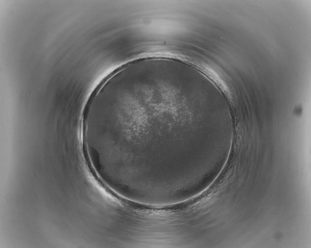 X0000094191084200711021022