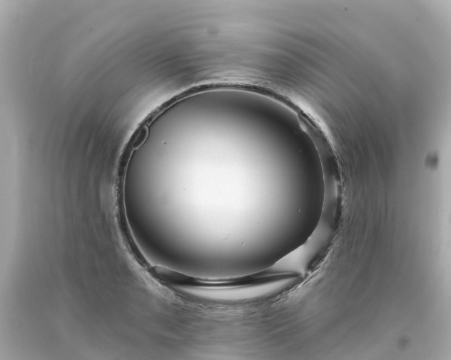 X0000094191085200711021022