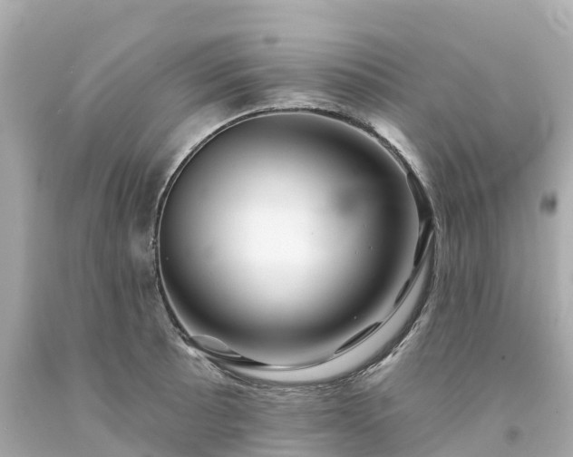 X0000094191089200711021022