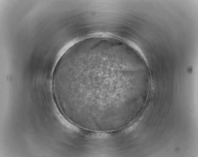 X0000094191090200711021022