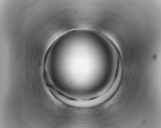 X0000094191093200711021022