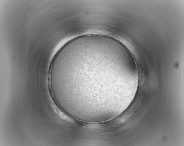 X0000094191094200711021022
