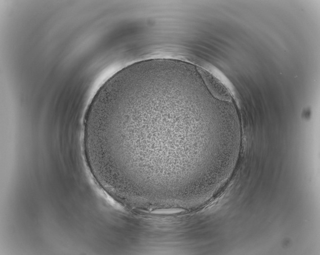X0000094191096200711021022