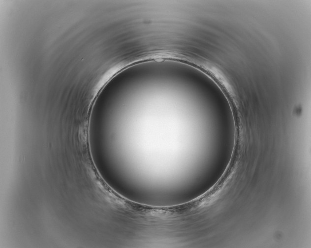X0000094191097200711021022