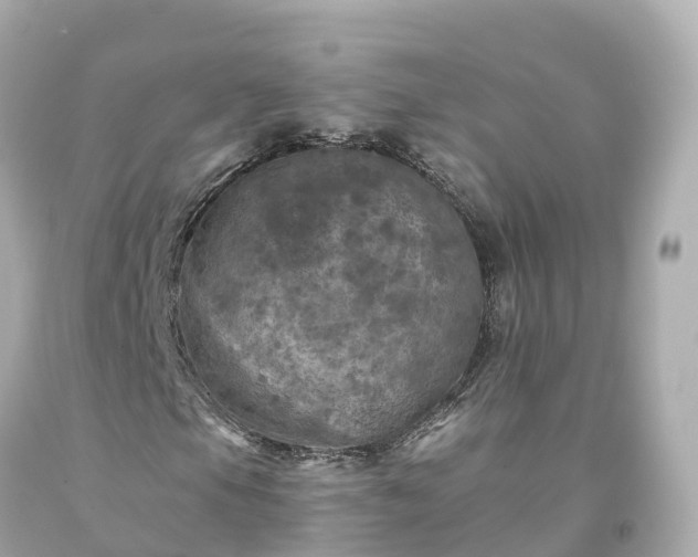X0000094191105200711021021
