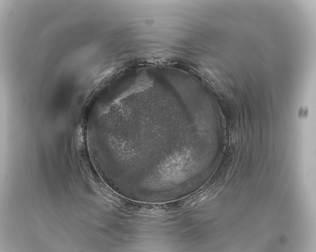 X0000094191106200711021021