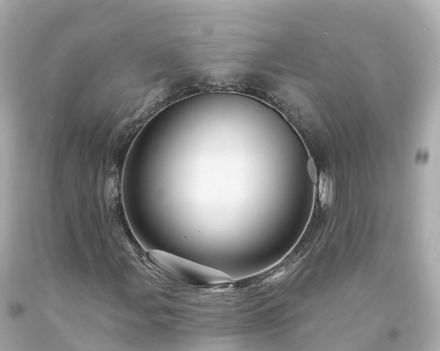 X0000094191107200711021021
