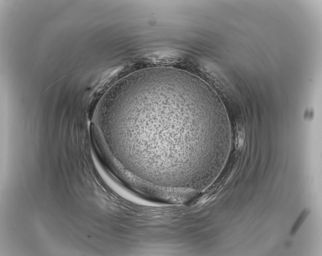 X0000094191108200711021021
