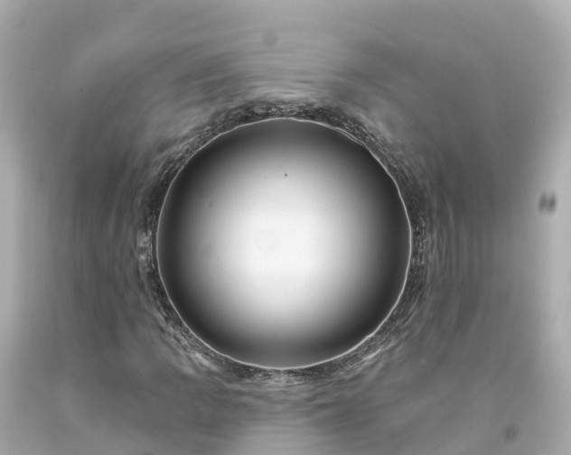 X0000094191109200711021021