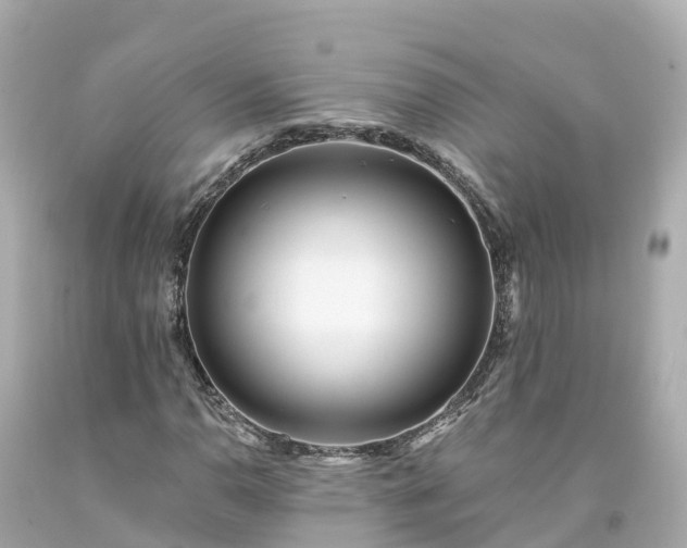 X0000094191110200711021021