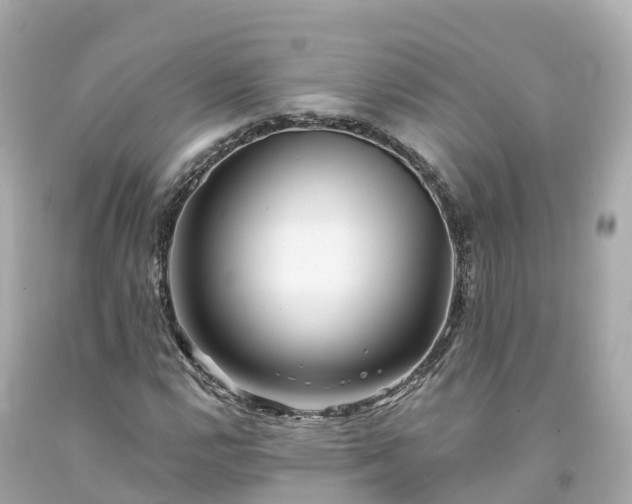 X0000094191112200711021022