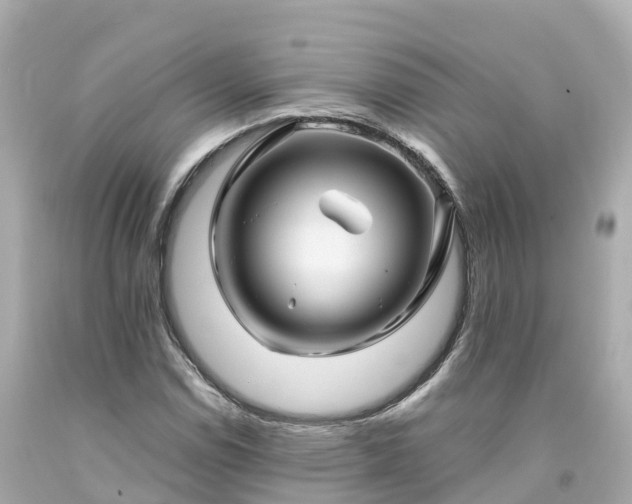 X0000094191114200711021022