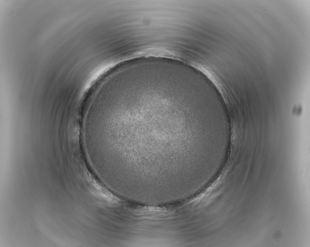 X0000094191115200711021022