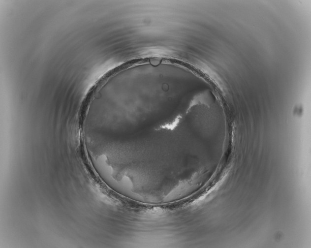 X0000094191117200711021022