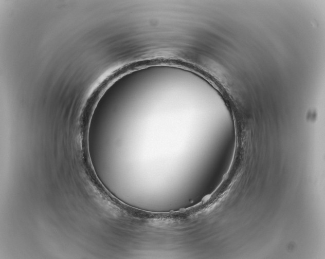 X0000094191118200711021022