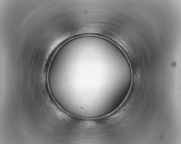 X0000094191119200711021022