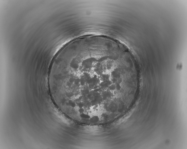 X0000094191121200711021022