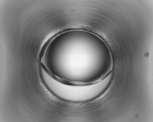 X0000094191122200711021022