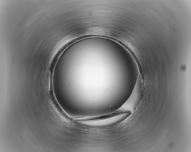 X0000094191123200711021022