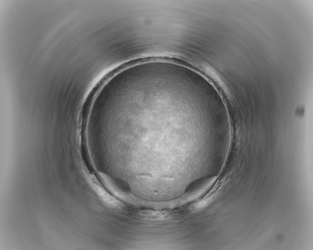 X0000094191124200711021022