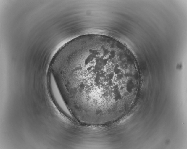 X0000094191125200711021022