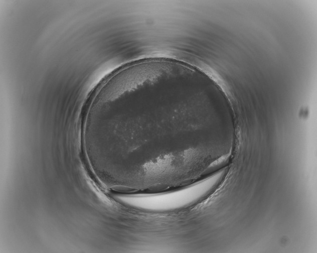 X0000094191127200711021022