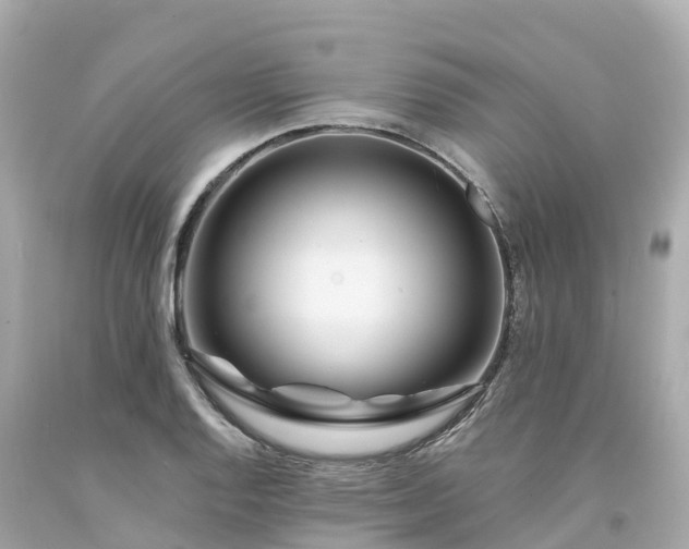 X0000094191128200711021022