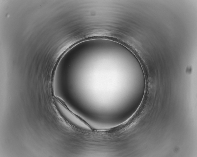 X0000094191129200711021022