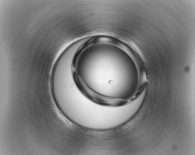X0000094191132200711021022