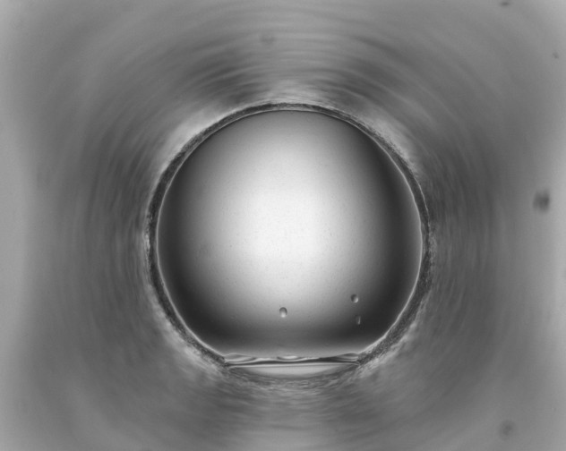 X0000094191133200711021022