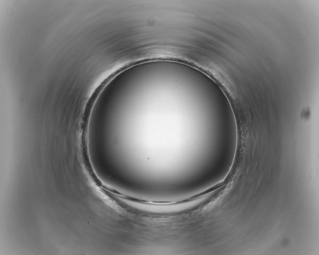 X0000094191134200711021022